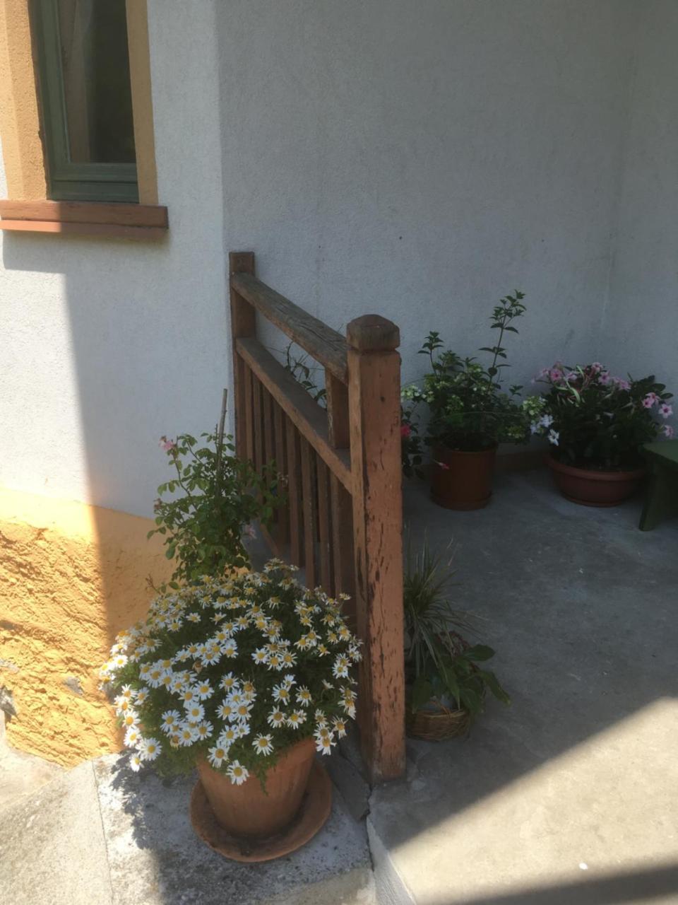 알라냐발세시아 L'Aria Di Casa B&B 외부 사진